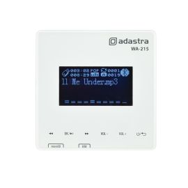 Wall Mounted Amplifier with built-in Bluetooth and Media Player